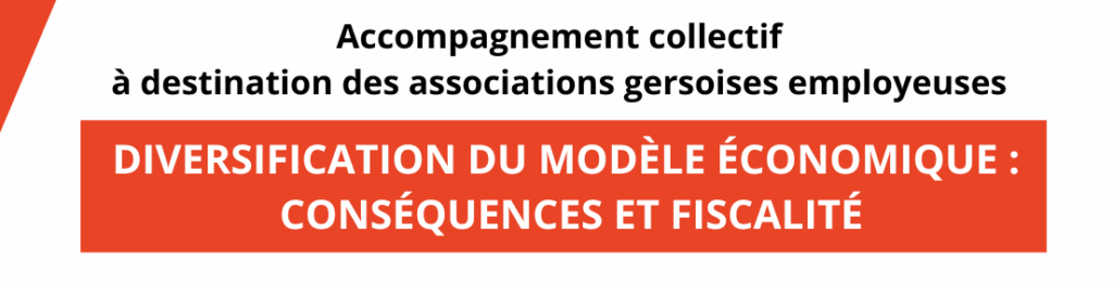 Diversification du modèle économique, conséquences et fiscalité